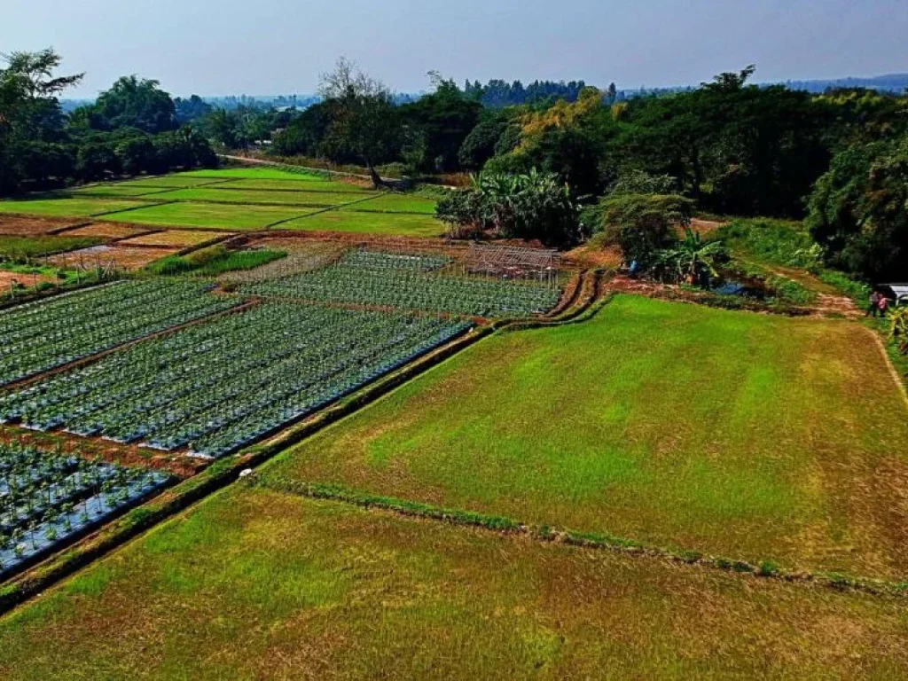 ขายที่ดิน ตำบลน้ำแพร่ อำเภอหางดง จังหวัดเชียงใหม่