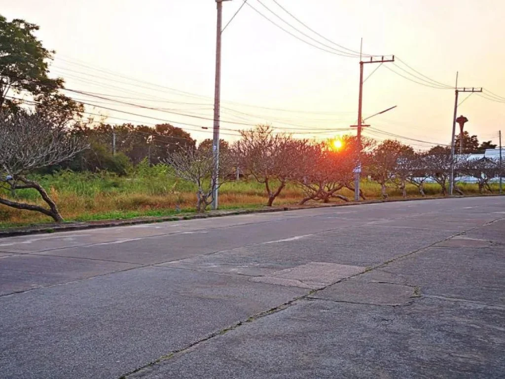 ขายที่ดิน โครงการธารดง กาดฝรั่ง ตำบลบ้านแหวน อำเภอหางดง จังหวัดเชียงใหม่