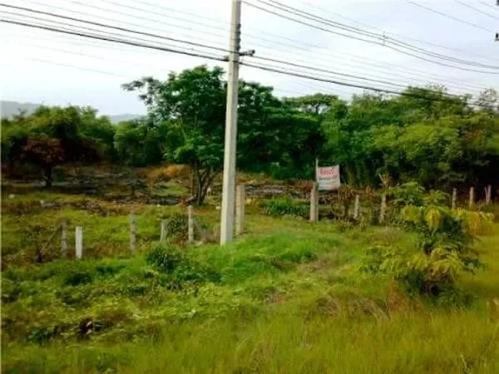 ขายที่ดิน จังหวัดลำปาง อำเภอเมืองลำปาง ตำบลพิชัย เจ้าของขายเอง ต่อรองราคาได้