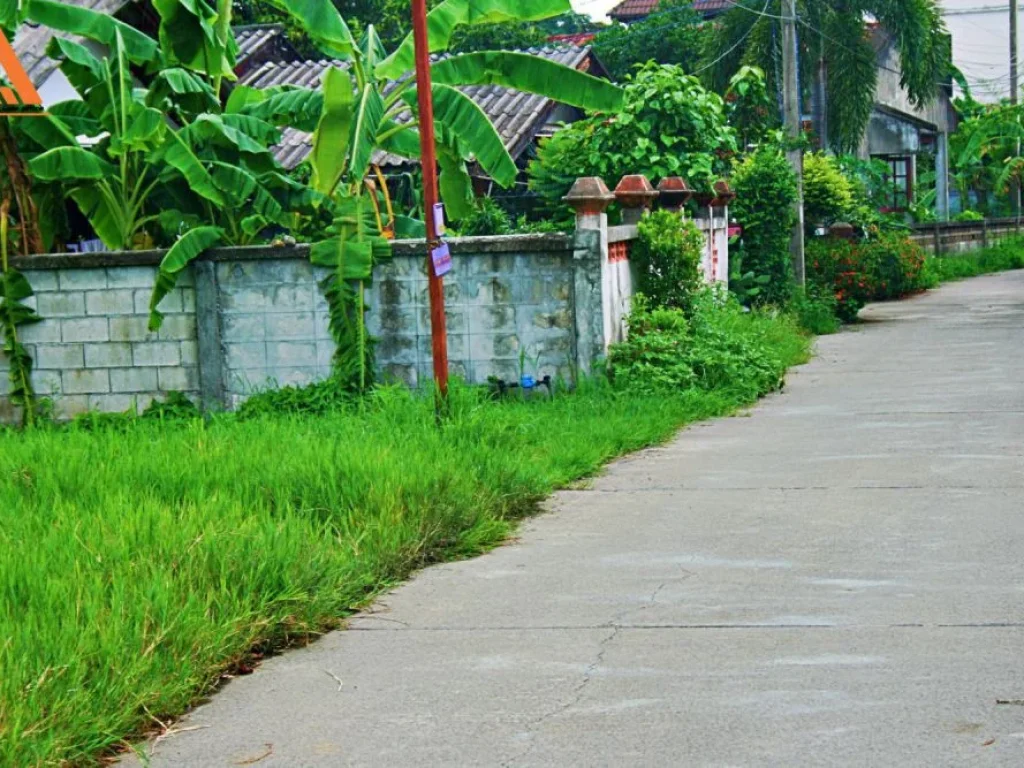 ขายที่ดิน บ้านสันเหนือ ตำบลสันกำแพง อำเภอสันกำแพง จังหวัดเชียงใหม่