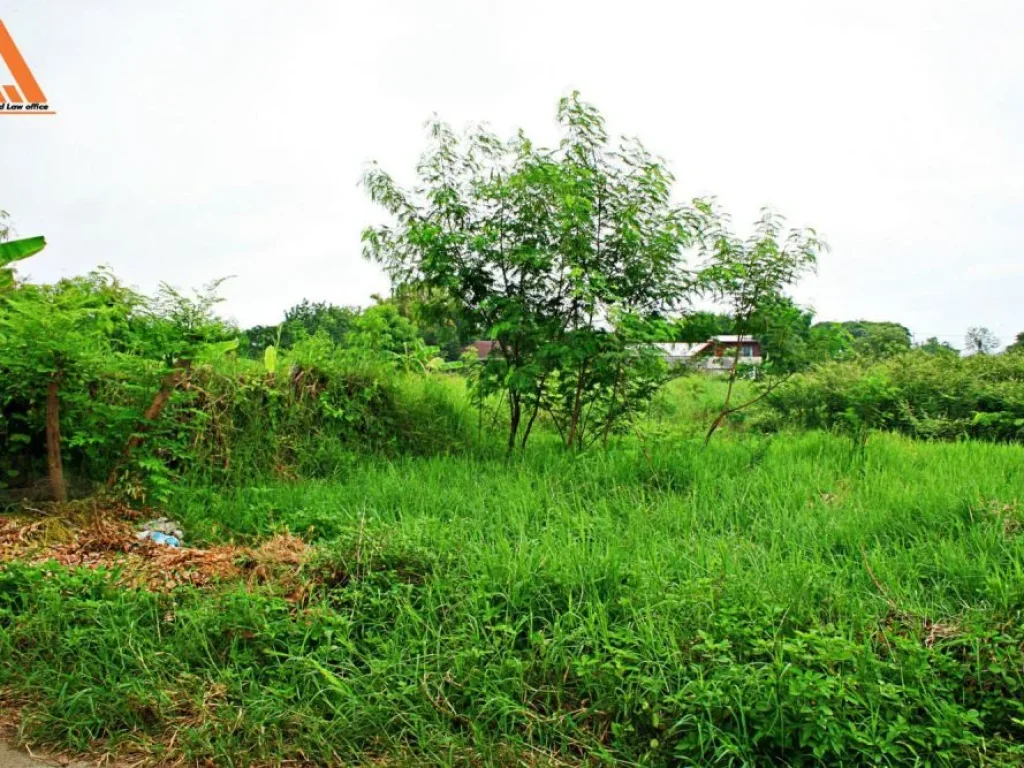 ขายที่ดิน บ้านสันเหนือ ตำบลสันกำแพง อำเภอสันกำแพง จังหวัดเชียงใหม่