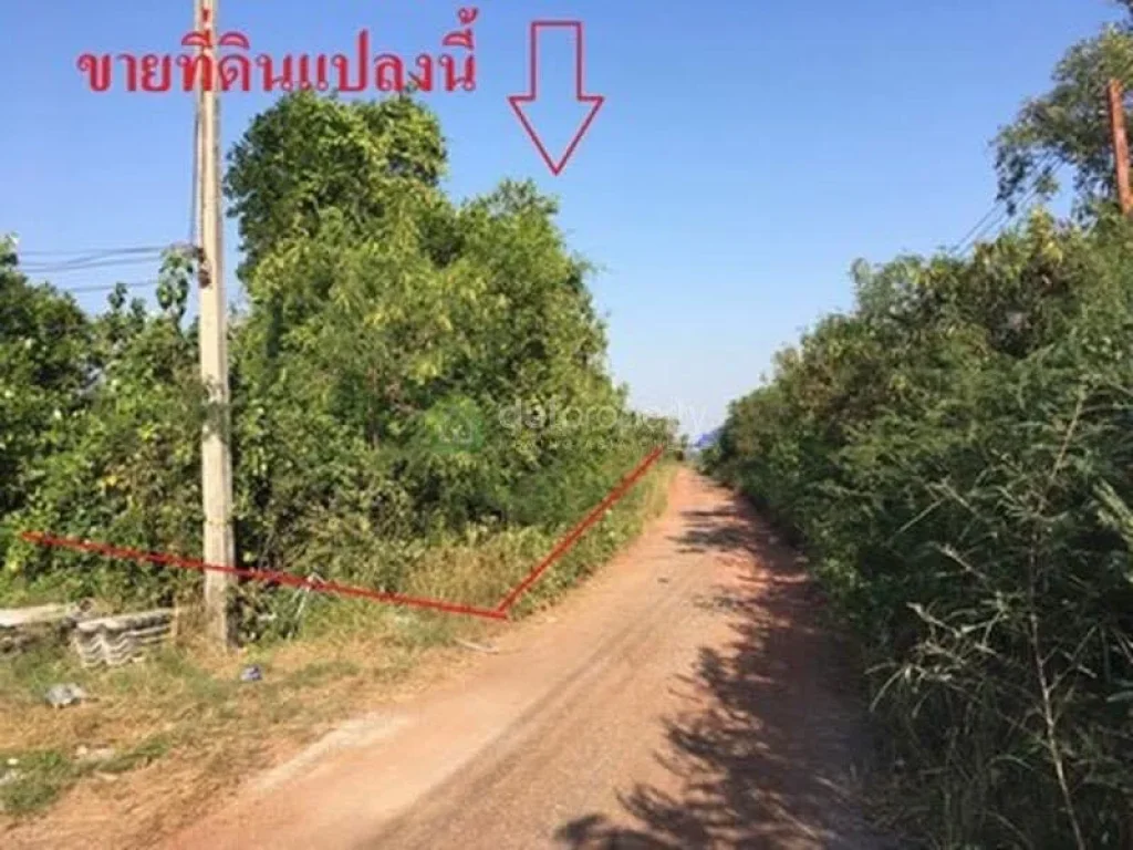 ขาย ที่ดินเปล่า 2 ไร่ 3513 ตรว ตนาโคก อเมืองสมุทรสาคร