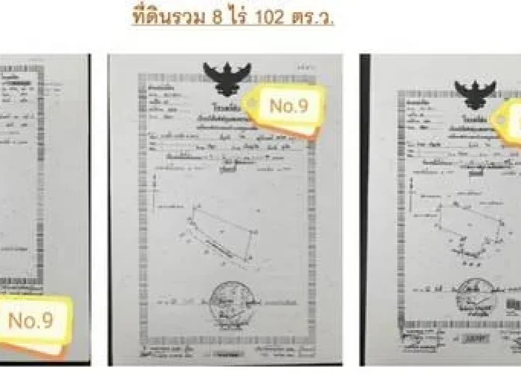 ขายโรงงานถุงมือ อถลาง จภูเก็ต ที่ดินรวม 8 ไร่ 102 ตรว อุปกรณ์และใบอนุญาตพร้อม