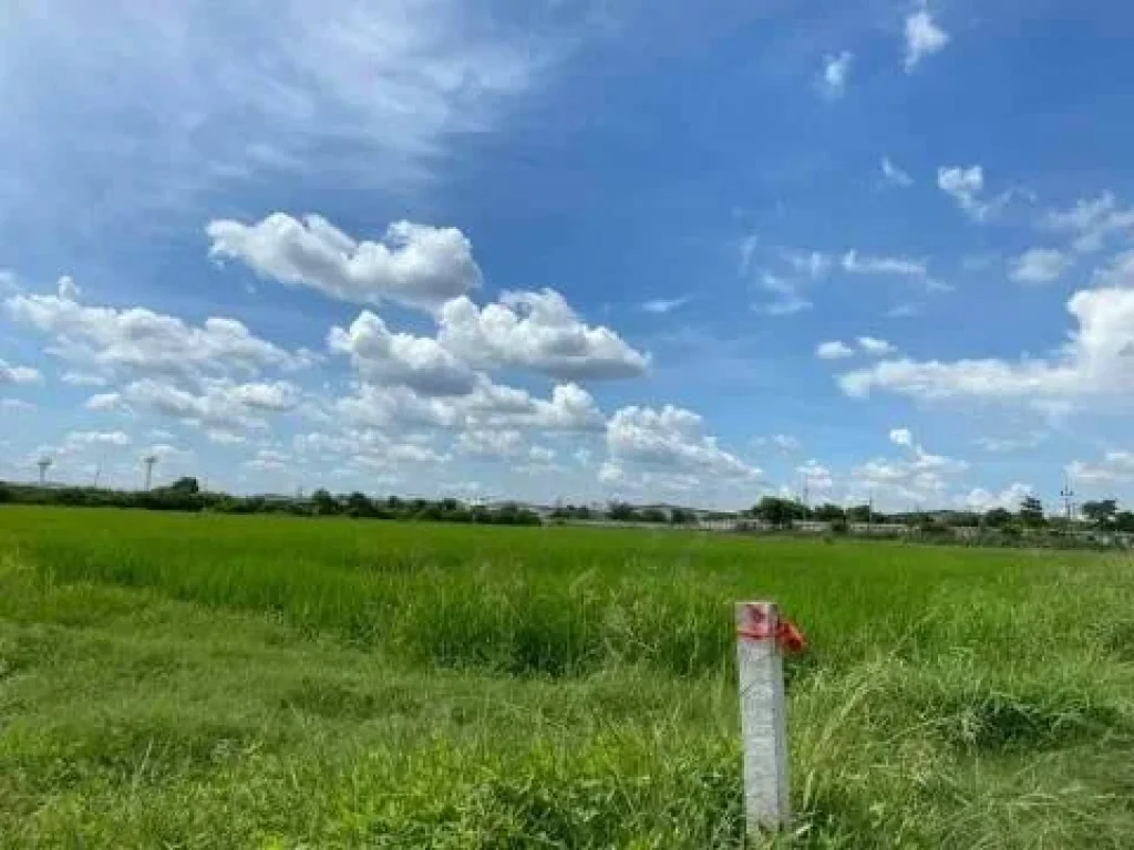 ขายที่ดินติดถนนโรจนะ ตำบลอุทัย อำเภออุทัย จังหวัดพระนครศรีอยุธยา