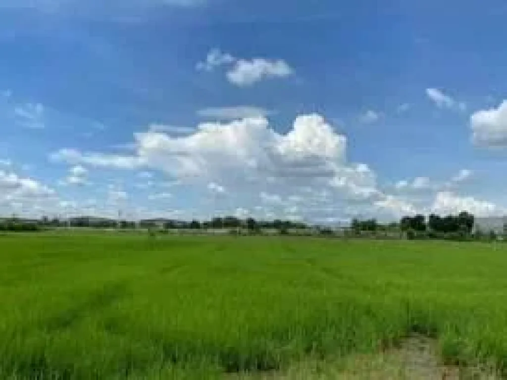 ขายที่ดินติดถนนโรจนะ ตำบลอุทัย อำเภออุทัย จังหวัดพระนครศรีอยุธยา