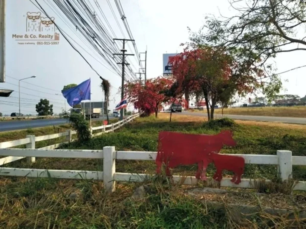 ขายที่ดิน แปลงสวย บรรยากาศดี อมวกเหล็ก สระบุรี ใกล้ ไทย-เดนมาร์คและเขาใหญ่ 061-915-5997