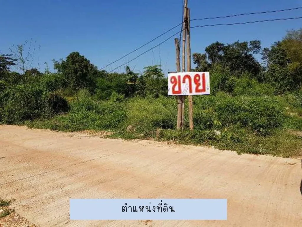 ขาย ที่ดิน 3 งาน 15 ตารางวา C78 ใกล้เทศบาลหนองปลาบาก 315 sqwa land at Sri Chiangmai District Nongkhai Province for sale