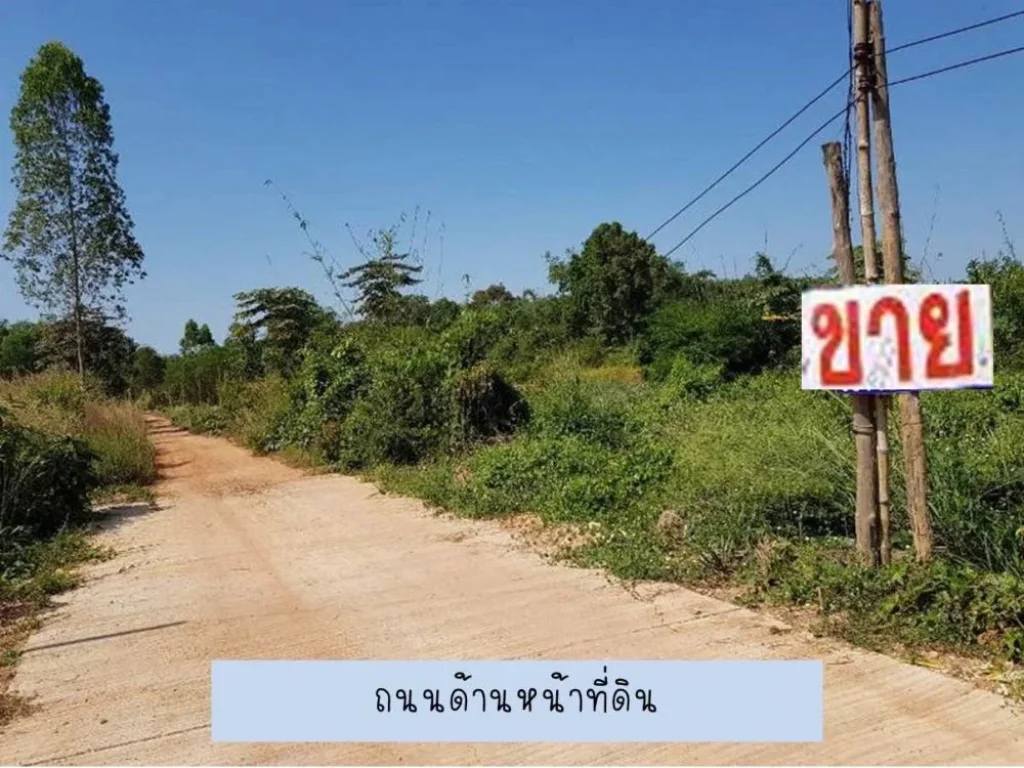 ขาย ที่ดิน 3 งาน 15 ตารางวา C78 ใกล้เทศบาลหนองปลาบาก 315 sqwa land at Sri Chiangmai District Nongkhai Province for sale