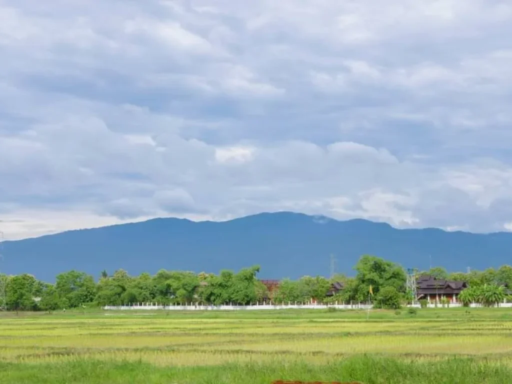 ขายที่ดินวิวดอย ถนนคอนกรีต ห่างโอ๋กับจู๋เพียง 3 km