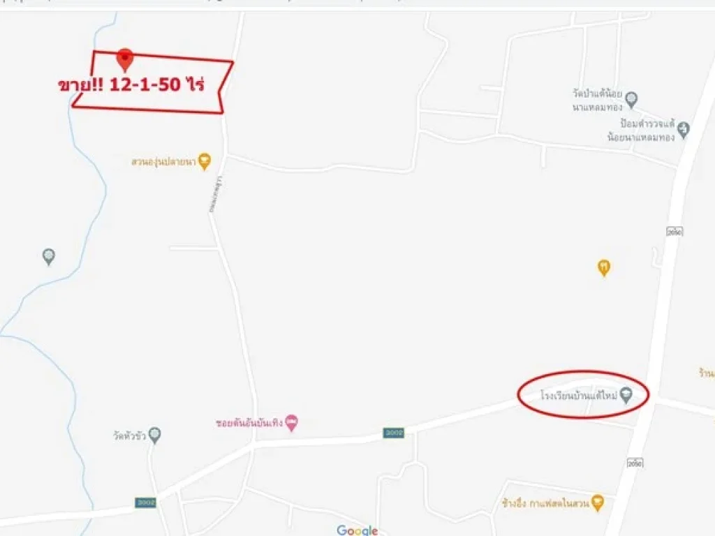 ขายถูกที่นา 12-1-50 ไร่ ถมแล้ว 2 ไร่ ใกล้โรงเรียนบ้านแต้ใหม่ ตเหล่าเสือโก้ก อเหล่าเสือโก้ก จอุบลราชธานี