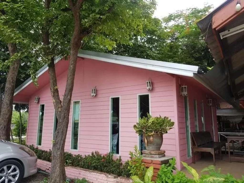 Land For Sale ที่ดิน 2 ไร่ ริมถนนสวนผัก ศาลาธรรมสพน์