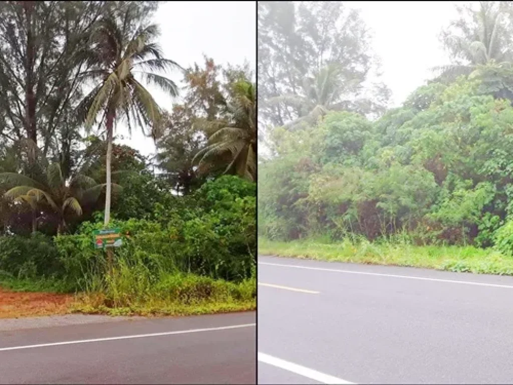 ขายที่ดินเนื้อที่ 7 ไร่ ติดทะเล ตปากน้ำตะโก จชุมพร