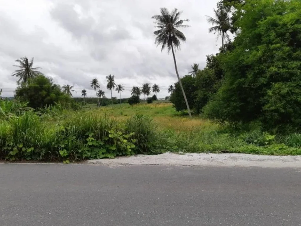 Land For Sale ที่ดิน 24 ไร่ สีม่วงลาย ซอย 11 อำเภอนิคมพัฒนา ระยอง