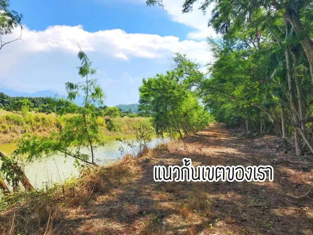 ขายสวนลำไย 23-3-10ไร่ ติดถจันฯ-สระแก้ว ตปะตง อสอยดาว จันทบุรี