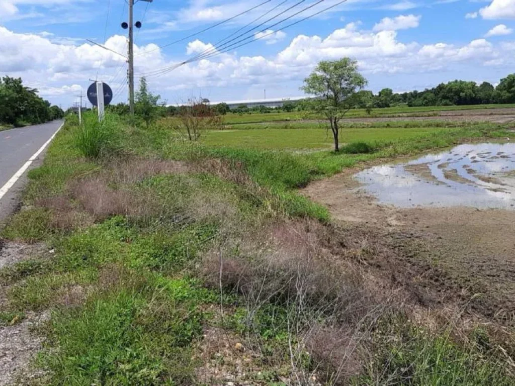 ที่ดิน 8ไร่ สระบุรี หนองบัว