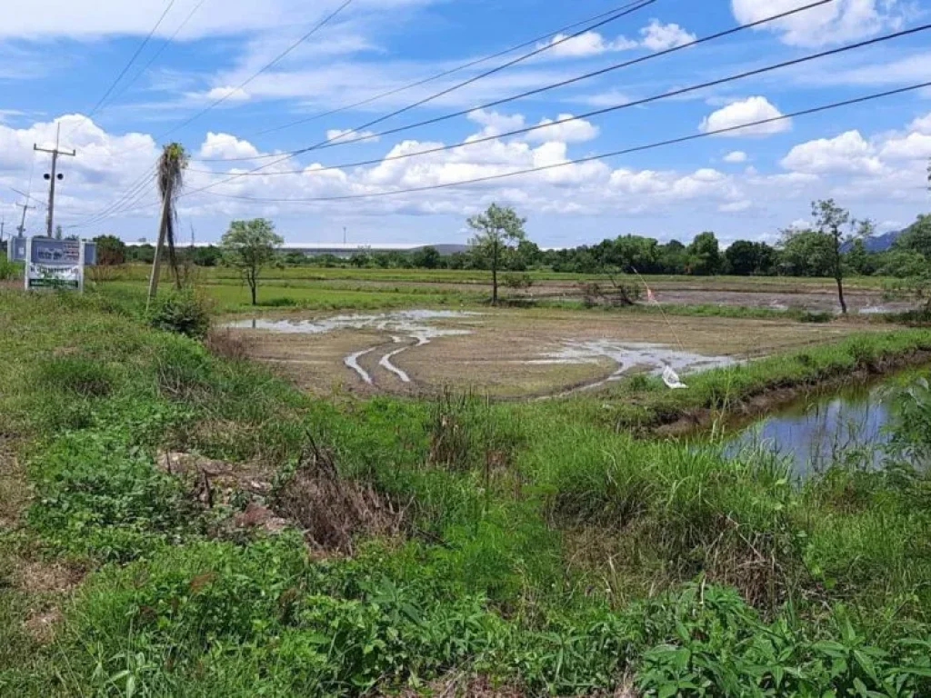 ที่ดิน 8ไร่ สระบุรี หนองบัว