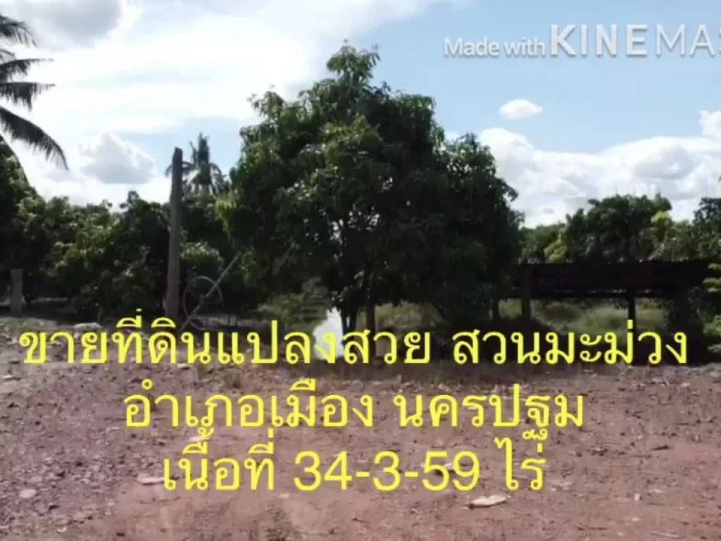 ขายที่ดินสวย มีอนาคต สวนมะม่วง 34-3-59 ไร่ คลองสิบห้าวา ตำบลดอนยายหอม อำเภอเมือง นครปฐม