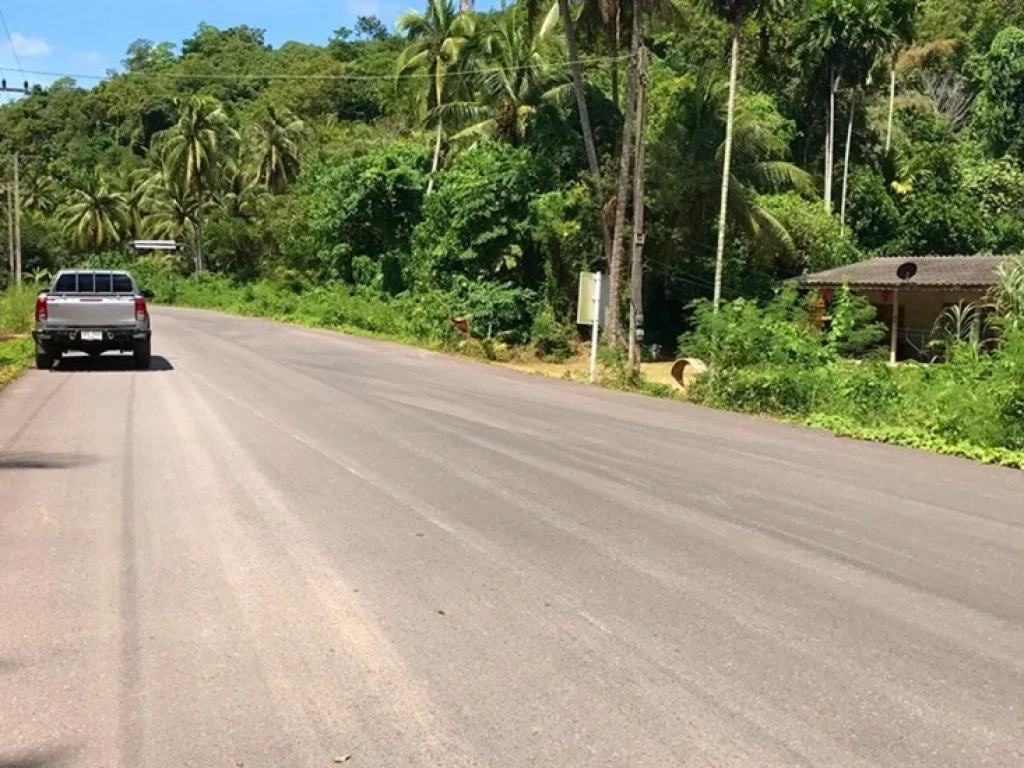 ขายที่ดิน เนื้อที่ 3 ไร่ บ้านบางหยี จชุมพร