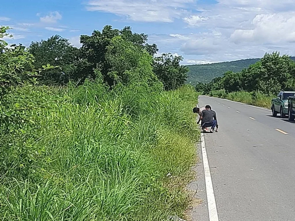 ที่ดินติดถนน พระปิยะ 24ไร่ ลพบุรี พัฒนานิคม