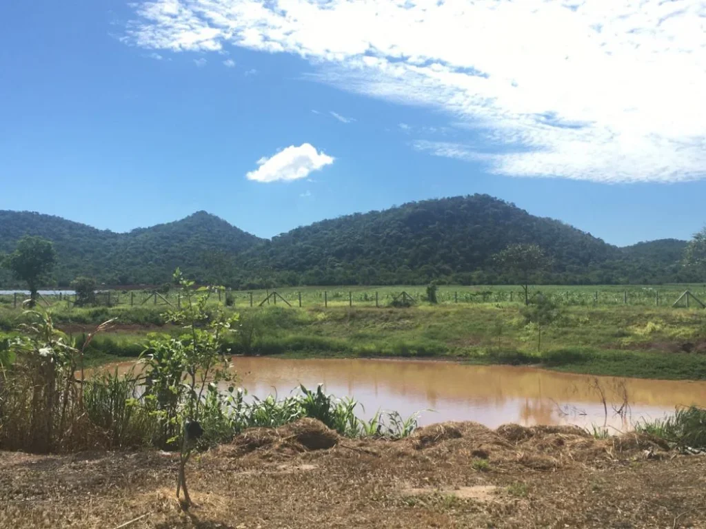 ขายบ้านพร้อมสวนเกษตรผสม อู่ทอง สุพรรณบุรี