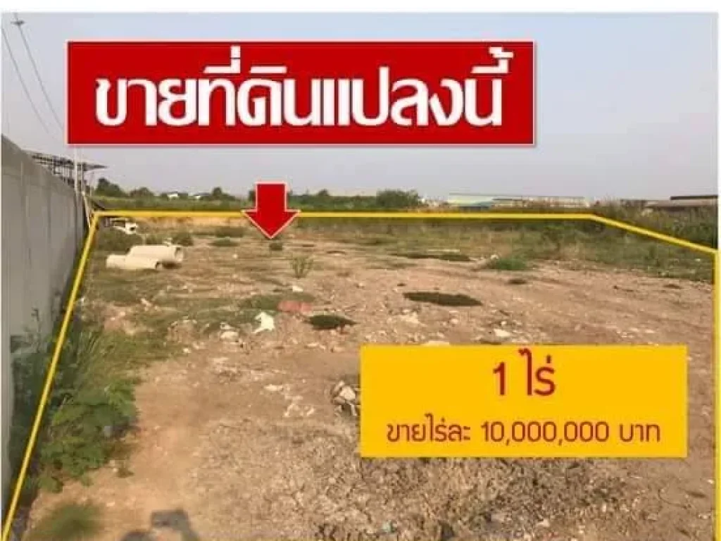  ด่วน ที่ดินจัดสรรสวยสุดๆ ดีกว่านี้หายาก บริเวณ ตนาดี อเมืองสมุทรสาคร จสมุทรสาคร เหมาะสำหรับทำธุรกิจ ทำโครงการ ทำเลค้าขายดีมีแต่รวยๆๆ