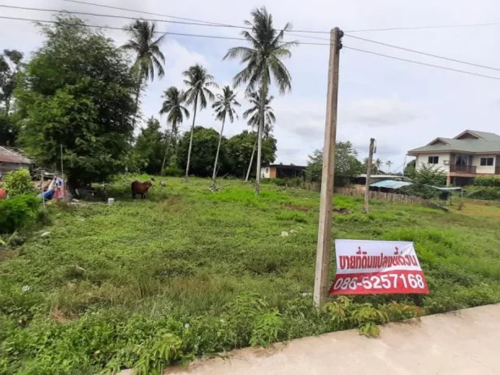 ที่ดินเปล่า 1 ไร่ 30 ตรว ทำเลดี เหมาะปลูกบ้านพักตากอากาศ เจ้าของขายเอง