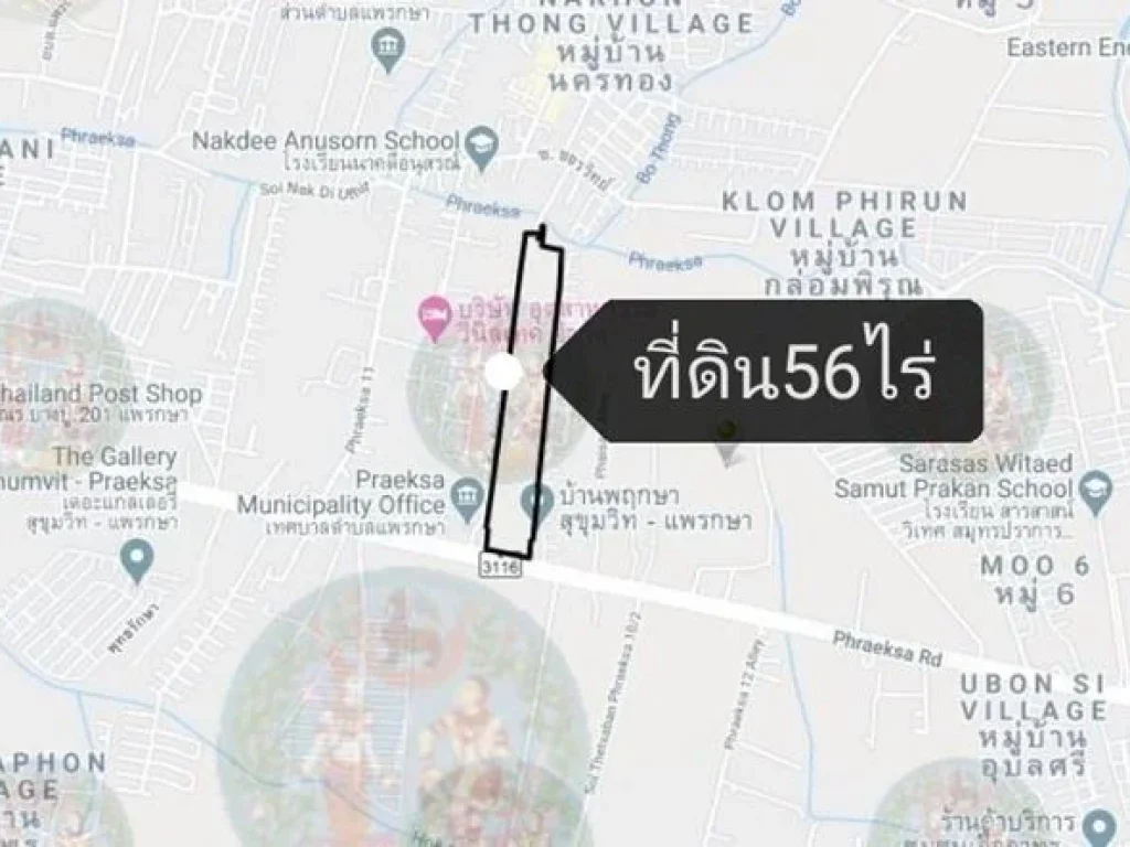 ขายที่ดิน 56 ไร่ ใกล้ Bts แพรกษา ตแพรกษา เมืองสมุทรปราการ ติดสำนักงานเทพบาลแพรกษา