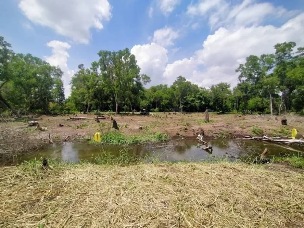 ขาย ที่ดิน 2 ไร่ ถมแล้ว คลอง6 ใกล้เทคโนธานี ตำบลคลองห้า อำเภอคลองหลวง จังหวัดปทุมธานี