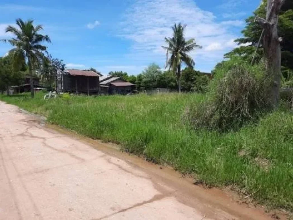 ขายที่ดิน บ้านหนองบัวบานเย็น ตำบลศรีสำราญ อคอนสวรรค์ จชัยภุูมิ