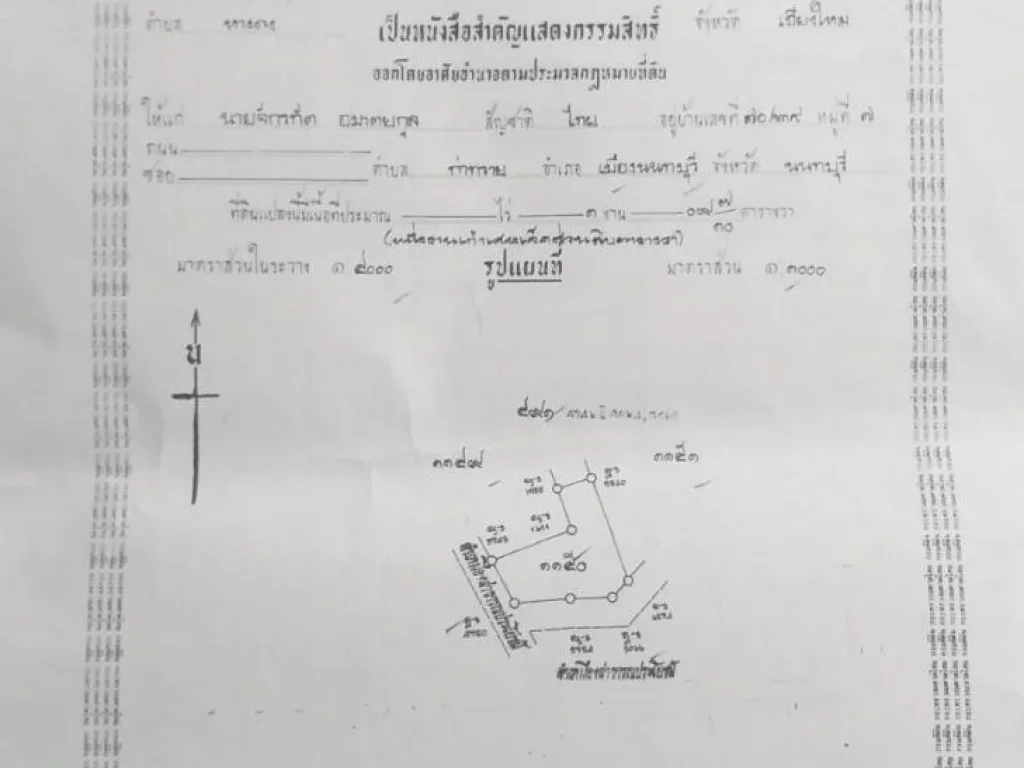 ขายที่ดิน 109 ตรว อหางดงใกล้บิ๊กซี