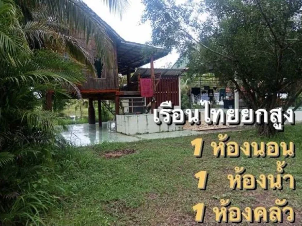 ขายที่ดินพร้อมสิ่งปลูกสร้าง จอุบลฯ อม่วงสามสิบ 7 ไร่ 1 งาน 33 ตรวา บ้านพักอาศัยพร้อมอยู่