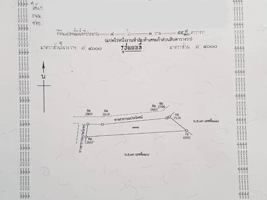 ขาย ที่ดินเพื่อการลงทุนสวนยาง 8-1-559 ไร่ C77 อศรีบุญเรือง หนองบัวลำภู