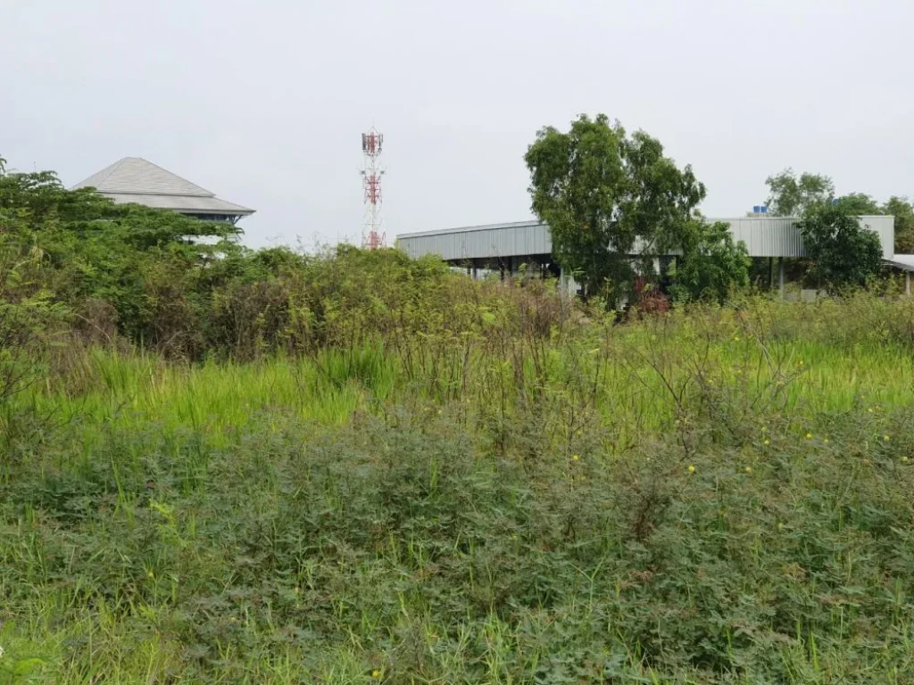 ขายที่ดิน แปลงมุม 363 ตรว ทำเลดีเหมาะสร้างโฮมออฟฟิศ ถศรีสมาน ตบ้านใหม่ อปากเกร็ด