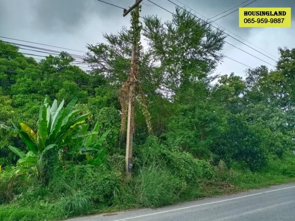 ที่ดินแปลงสวย ตำบลดงละคร อำเภอเมือง จังหวัดนครนายก