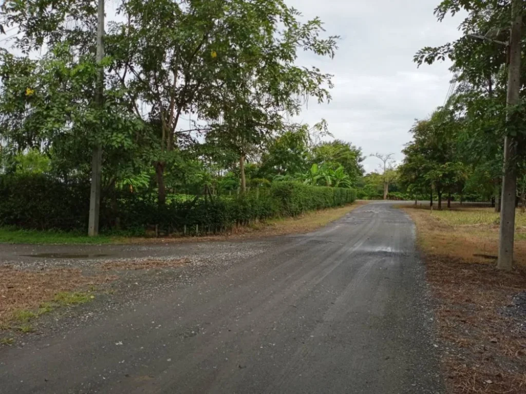 ขายที่ดินป่าป้องดอยสะเก็ต ติดถนนสี่ด้าน ราคาถูก