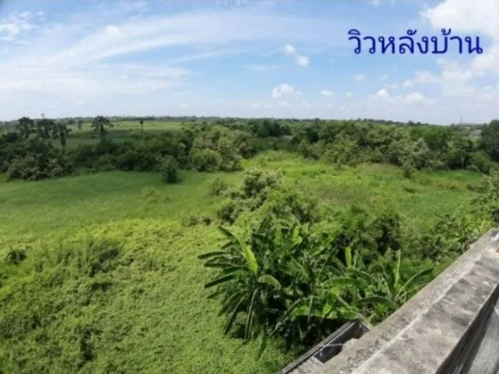 ขายที่ดินพร้อมอาคาร ติดถนนเพชรเกษม อำเภอนครชัยศรี จังหวัดนครปฐม