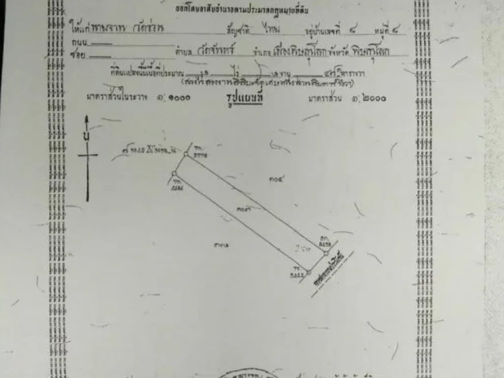 ขายที่ดิน หลัง อบตวัดจันทร์ พิษณุโลก รูปที่ดินสวย ทำเลดี เหมาะสร้างบ้านขาย จัดสรรที่ดินขาย