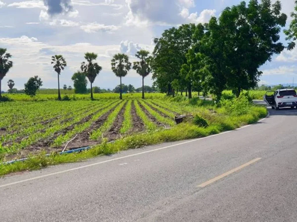 ขายที่ดินสุพรรณบุรี ติดถนนทางหลวง ตจรเข้สามพัน ออู่ทอง จสุพรรณบุรี เนื้อที่ 44 ไร่ 3 งาน 10 ตรว