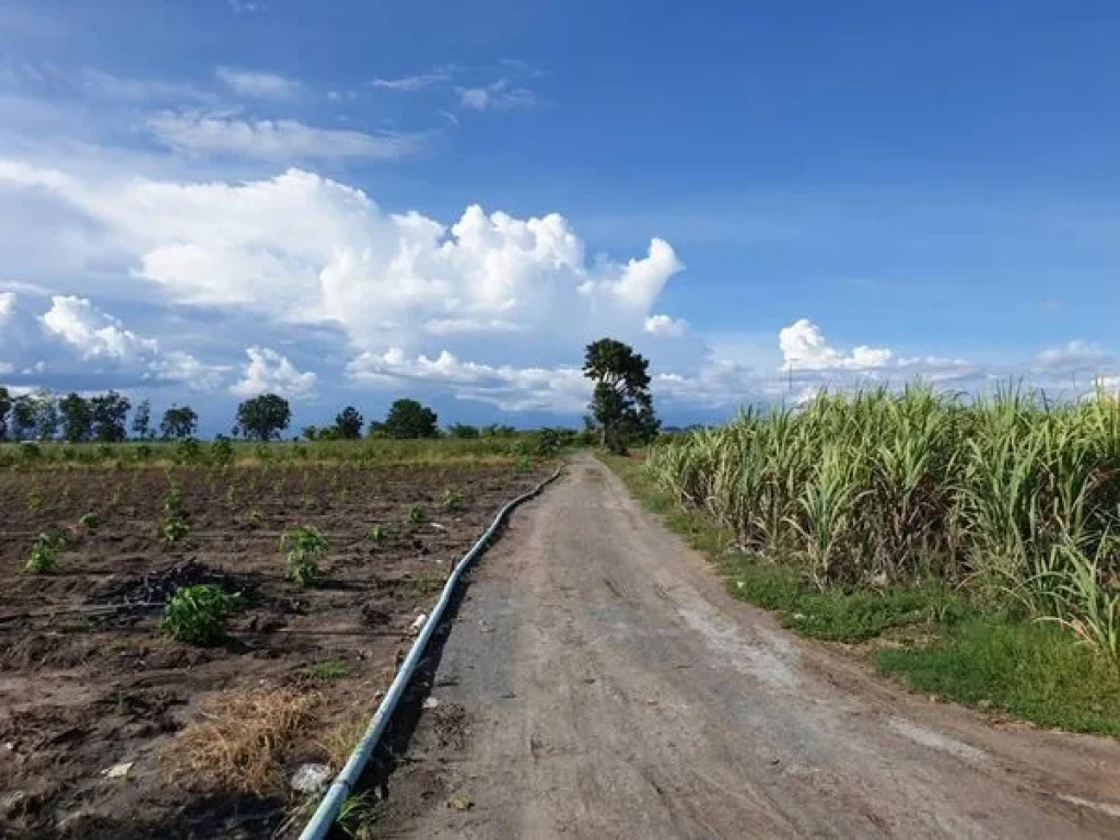 ขายที่ดินสุพรรณบุรี ติดถนนทางหลวง ตจรเข้สามพัน ออู่ทอง จสุพรรณบุรี เนื้อที่ 44 ไร่ 3 งาน 10 ตรว