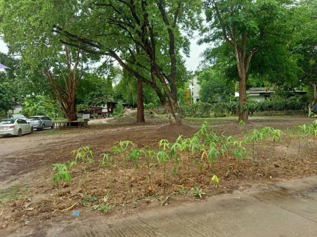 ขายที่ดินตรงข้ามโรงพยาบาลนครพิงค์ติดถนนสองด้าน