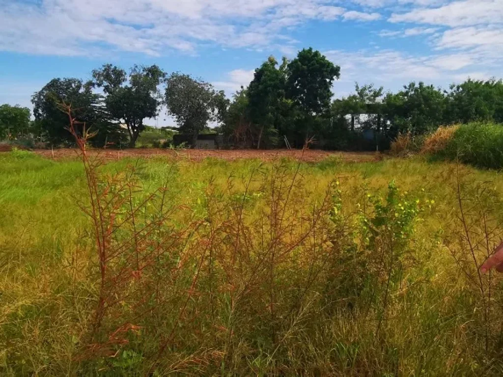 ขายที่ดิน 1 ไร่ ติดถนนตัดใหม่ ไปศาลากลางจังหวัดนครปฐม