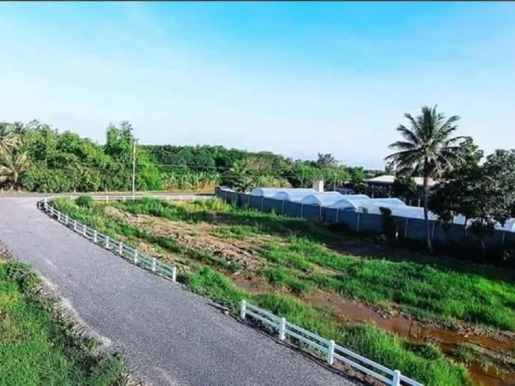 ขายที่ดิน 2 ไร่หนองเสือ ใกล้บ้านบุษยพัชร พื้นที่สีชมพู