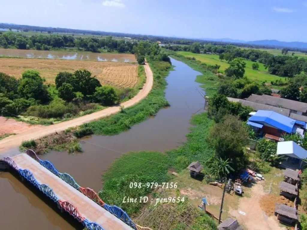 ขายที่ดิน 9 ไร่ อำเภอบ้านนา พื้นที่สีเขียว