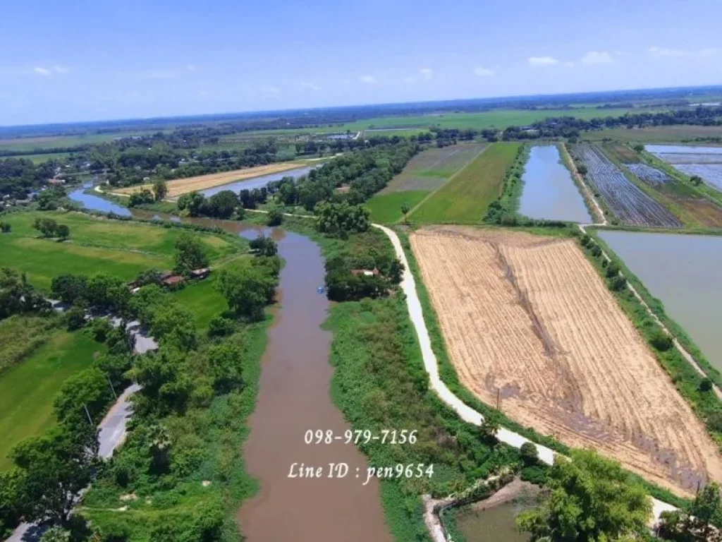 ขายที่ดิน 9 ไร่ อำเภอบ้านนา พื้นที่สีเขียว