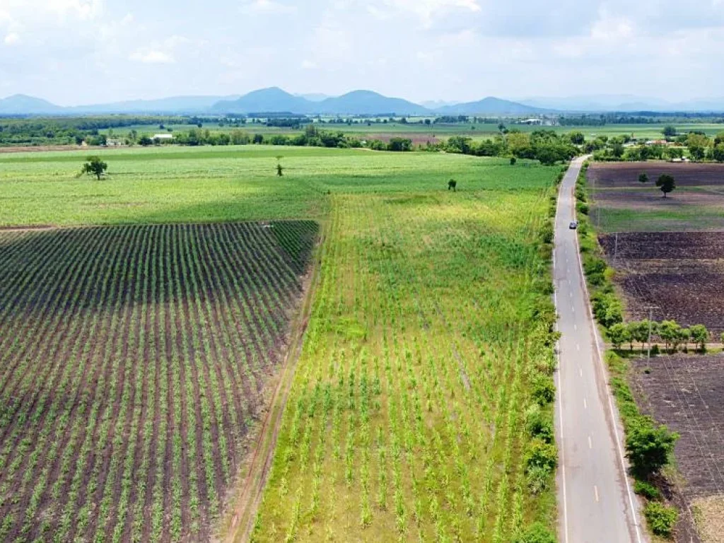 ที่ดินติดถนนดำ มีไฟฟ้าผ่าน 3 ไร่ 2งาน 80วา ตชอนสมบูรณ์ อหนองม่วง จลพบุรี