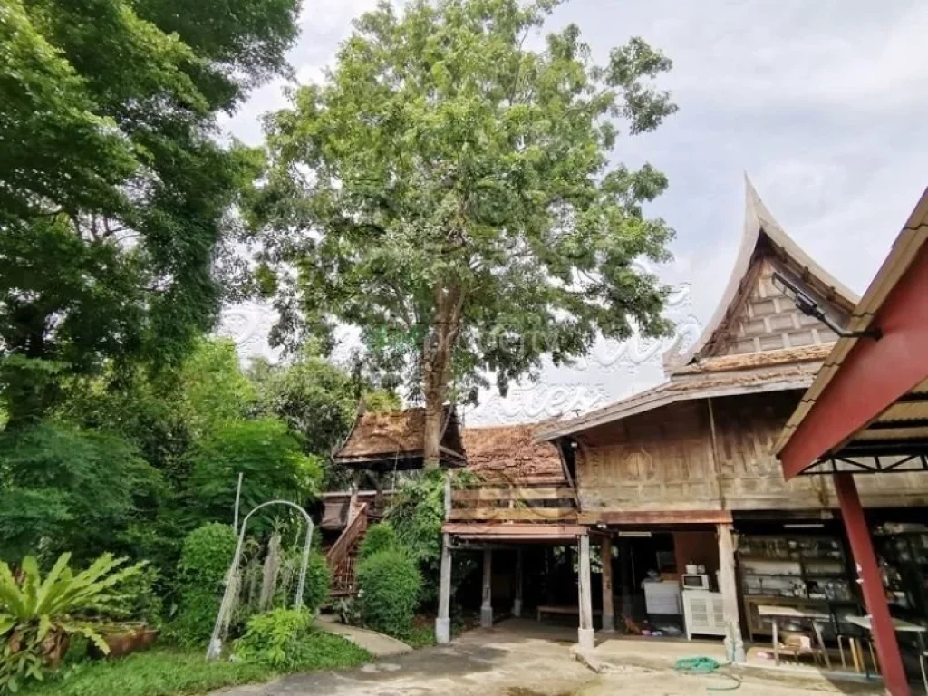 ขายที่ดิน 352 ตรวซอยวชิรธรรมสาธิต 44 ซอยสุขุมวิท 1011 ถสุขุมวิท แขวงบางจาก เขตพระโขนง กรุงเทพมหานคร 10260