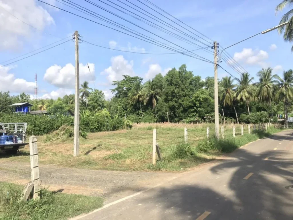 ขายที่ดิน อเมืองเพชรบูรณ์ จเพชรบูรณ์ ที่ดินสวย ราคาถูก