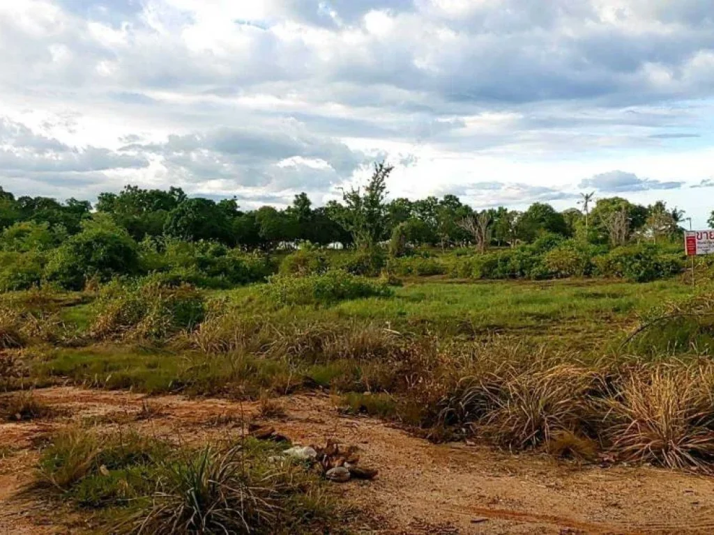 ขาย ที่ดิน เนื้อที่ 200 ตรว ซอย สวนสน 3 อ่าวน้อย จังหวัด ประจวบคีรีขันธ์ ทำเลสวย ใกล้ทะเล