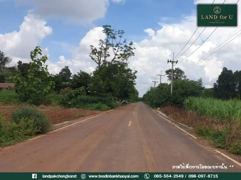 ขายที่ดินโฉนดติดถนนวิวภูเขา บ้านวังไทร ถูกมาก ตวังไทร อปากช่อง จนครราชสีมา