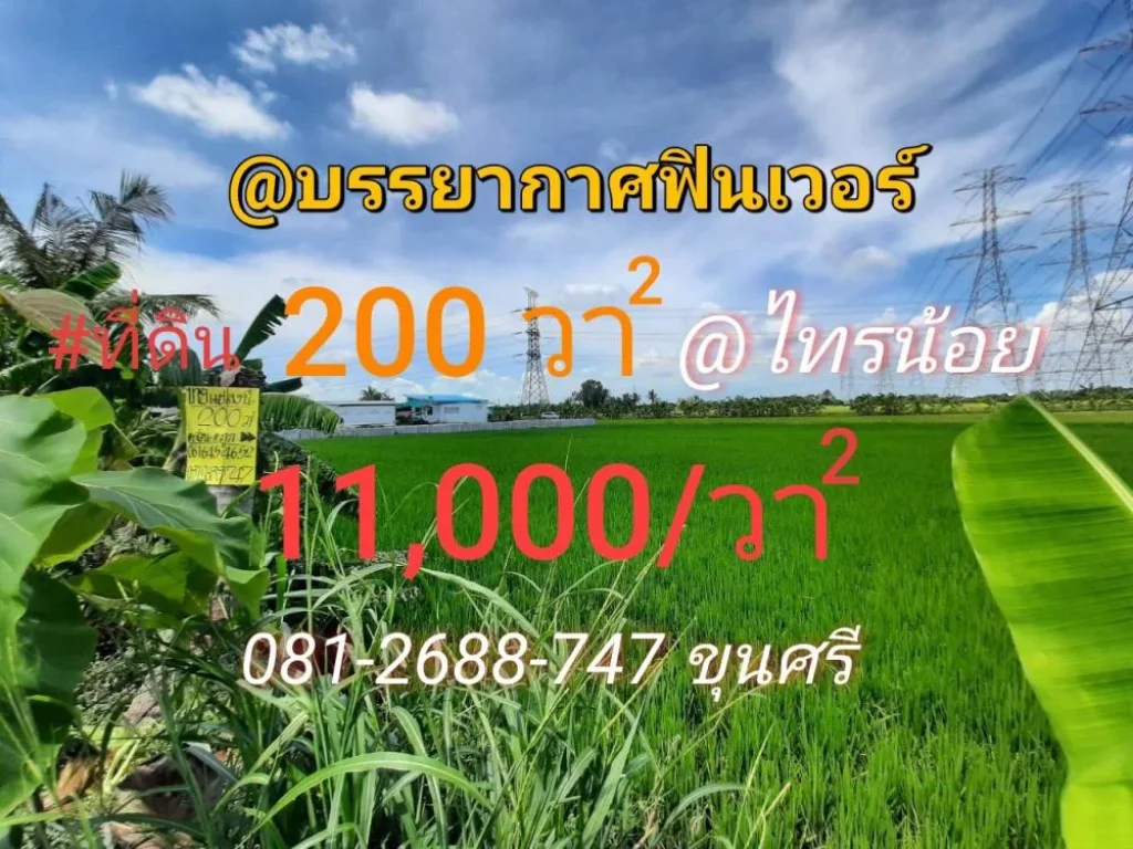 ขายที่ดินไทรน้อย 200 ตารางวา ซอยโรงเรียนบ้านคลองฝรั่ง เหมาะสร้างบ้านโกดัง ถนน บางกรวย-ไทรน้อ